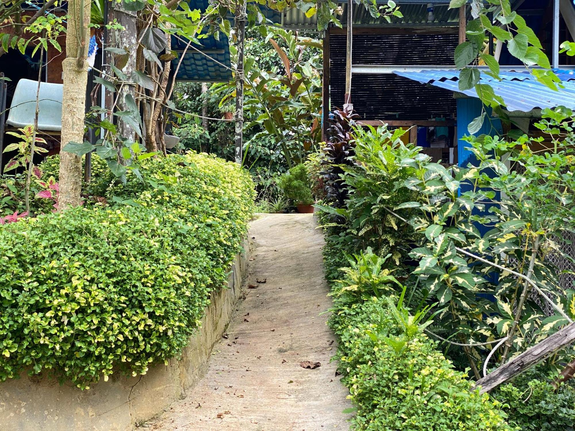 Da Family Mini Garden Hotel Ranau Eksteriør billede