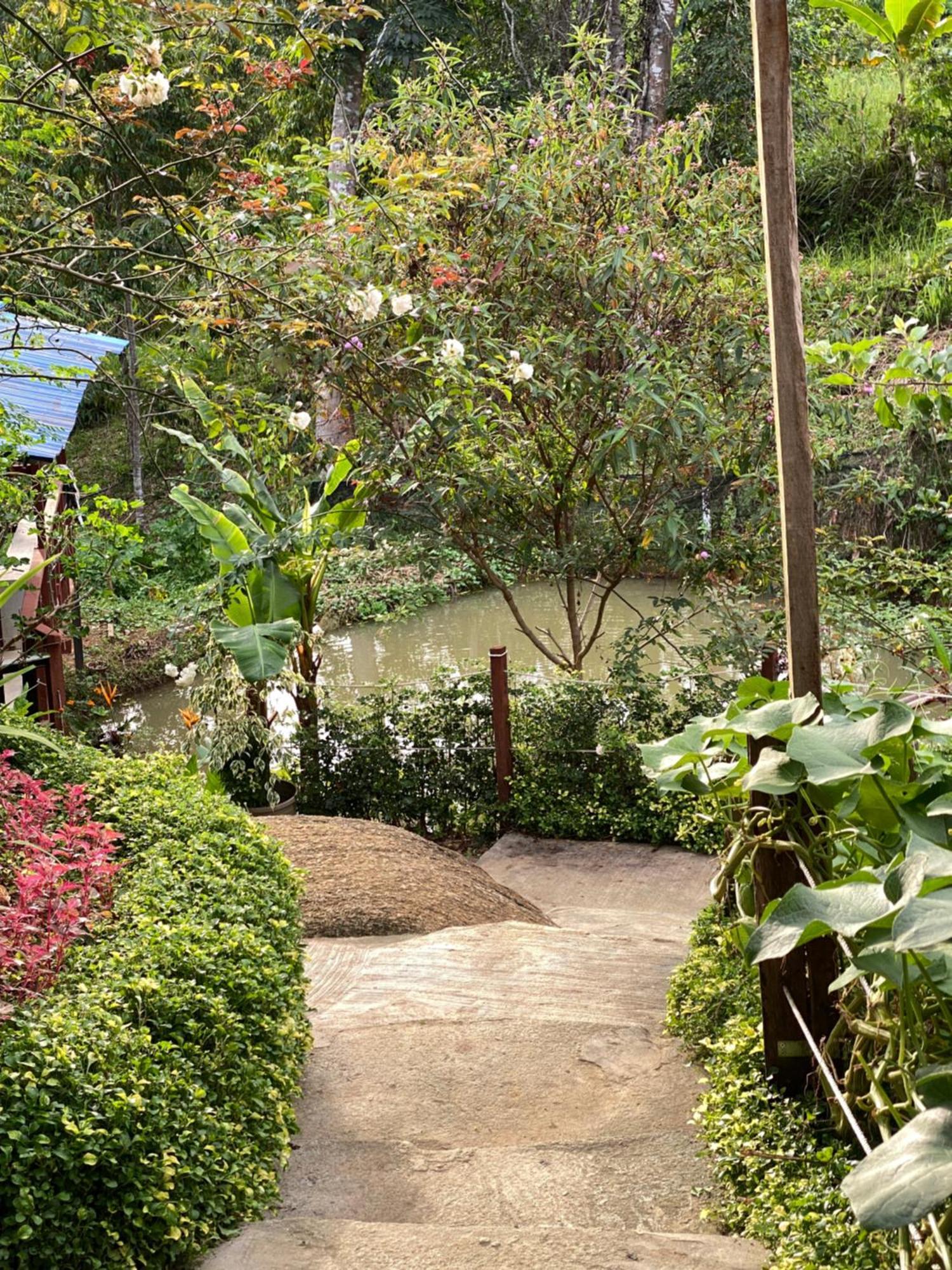 Da Family Mini Garden Hotel Ranau Eksteriør billede